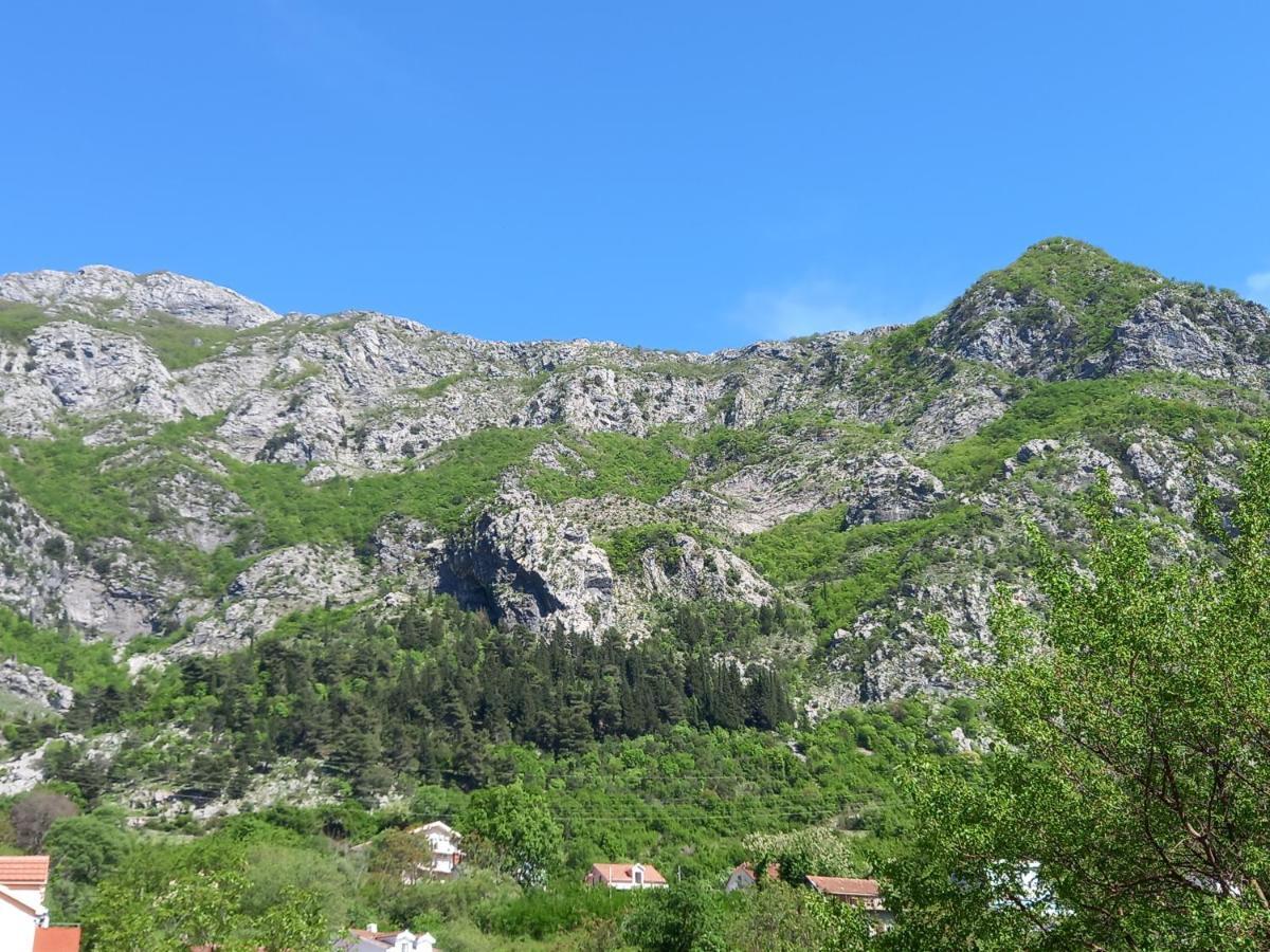 Sea View Hotel Рисан Екстериор снимка