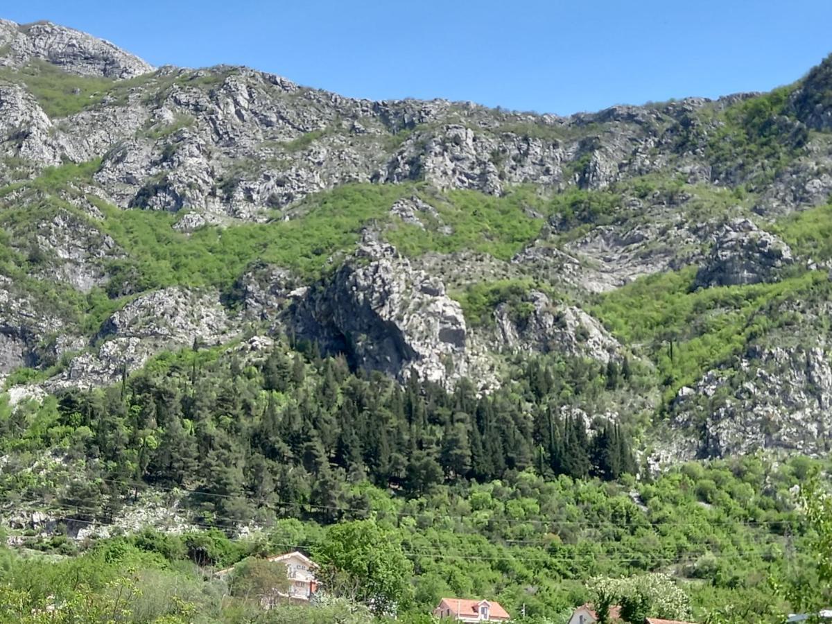 Sea View Hotel Рисан Екстериор снимка